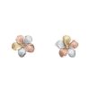 Joyeria Fina GVR | Aretes Flor Oro Florentino 14K